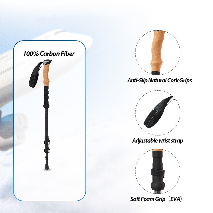 Construction of trekking poles