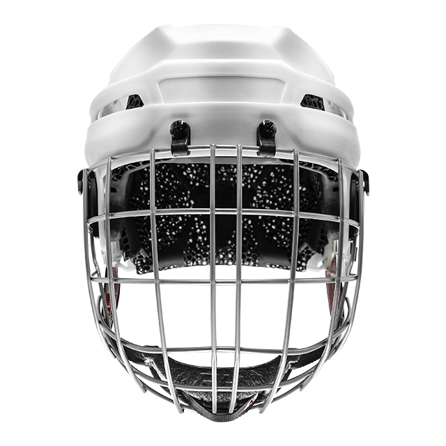 Features and components typically found in a hockey player's helmet