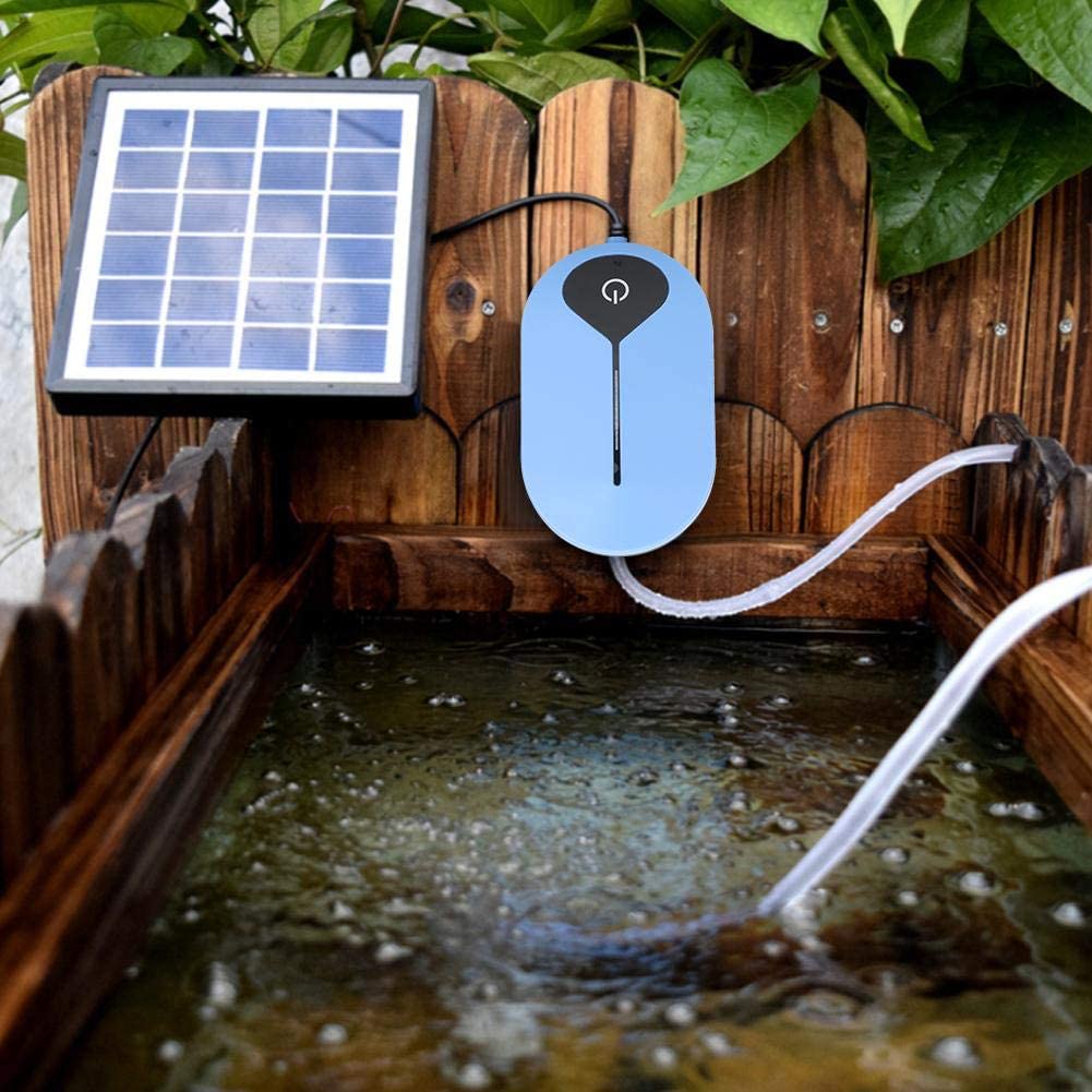Components of a Solar-Powered Air Pump Kit