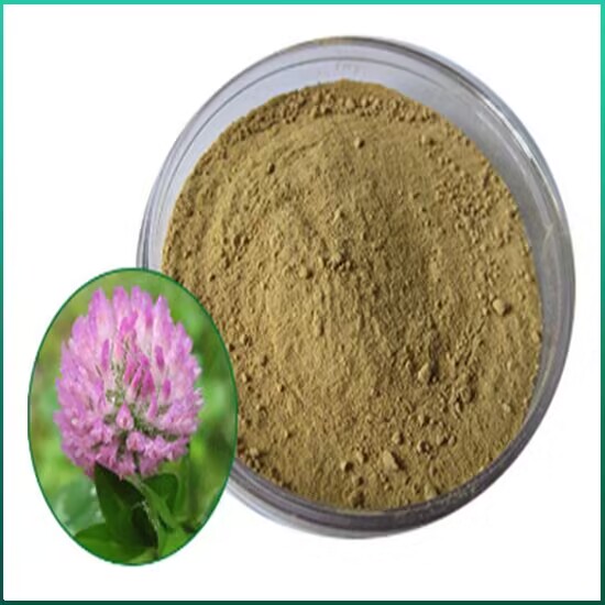 Red Clover Extract: Nature’s Powerful Herbal Remedy