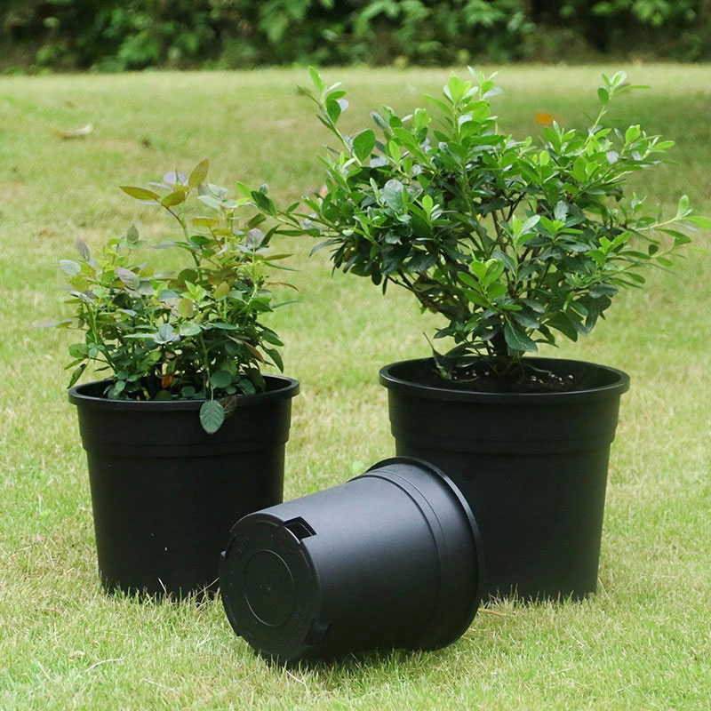 Round Nursery Pots: The Essential Choice for Healthy Plant Growth