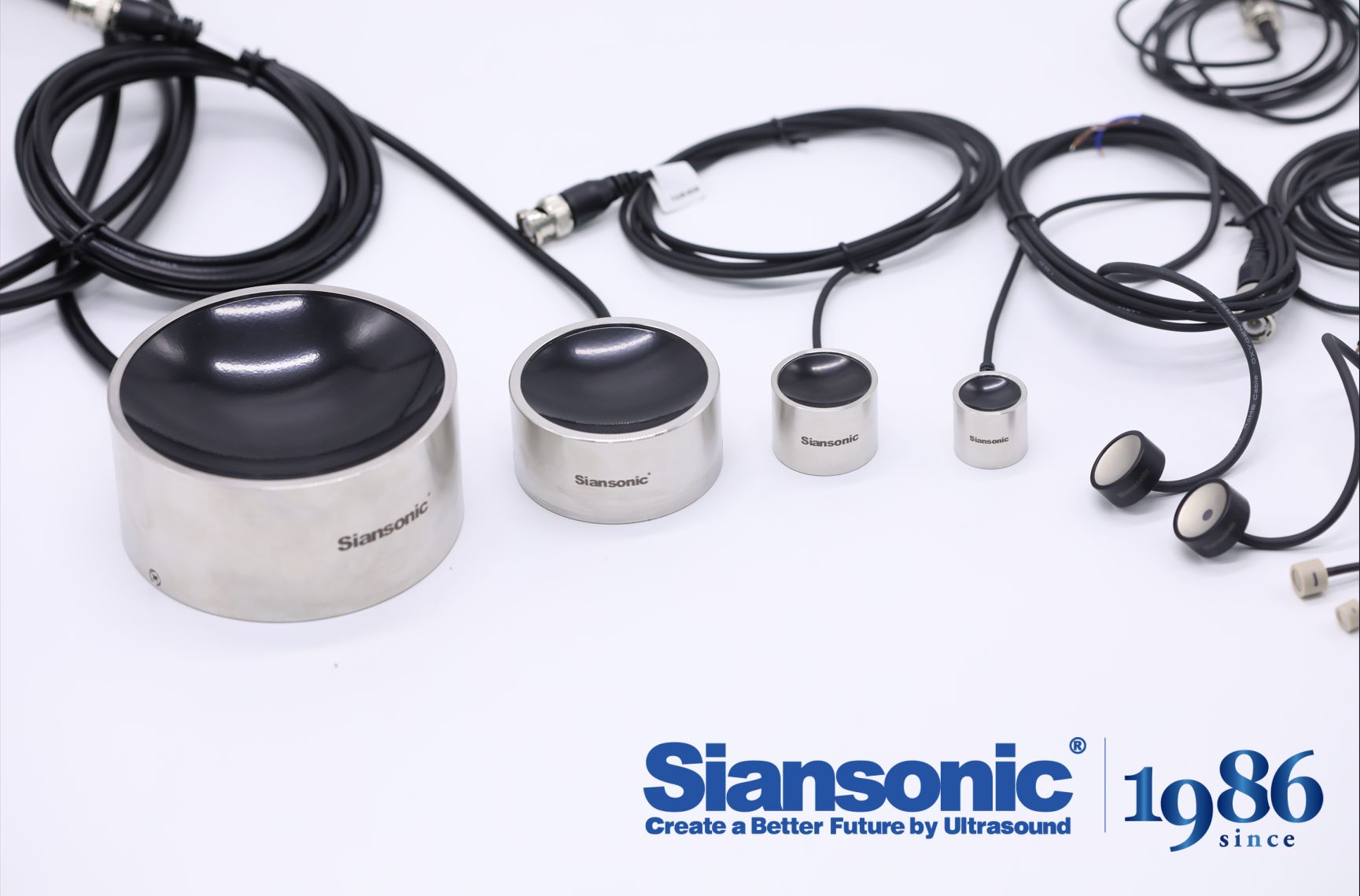 FUS Transducer Vendor Selection: Essential Criteria for Clinical and Research Applications