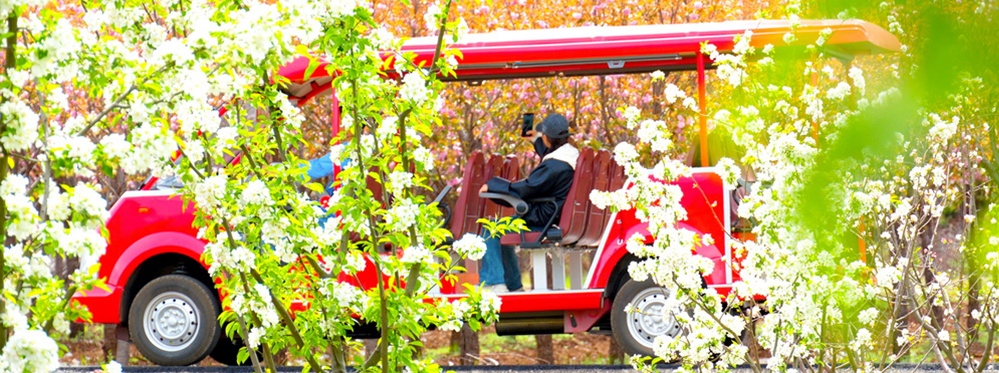 Visit Yushui Village in China for a Hidden Gem Experience